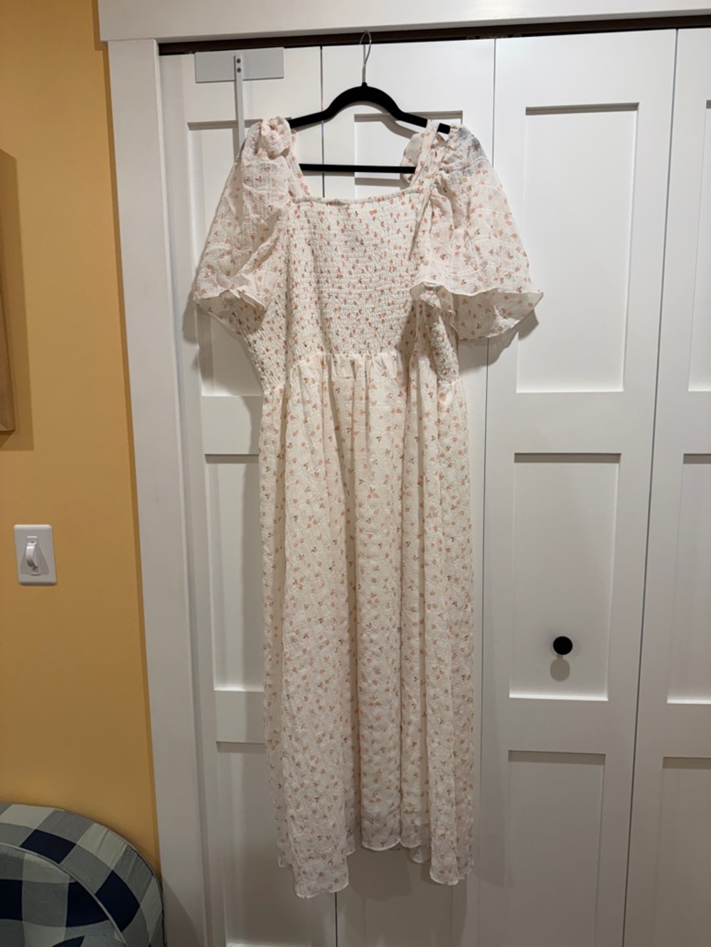 NWOT Ivy City Co Daydreamer Dress